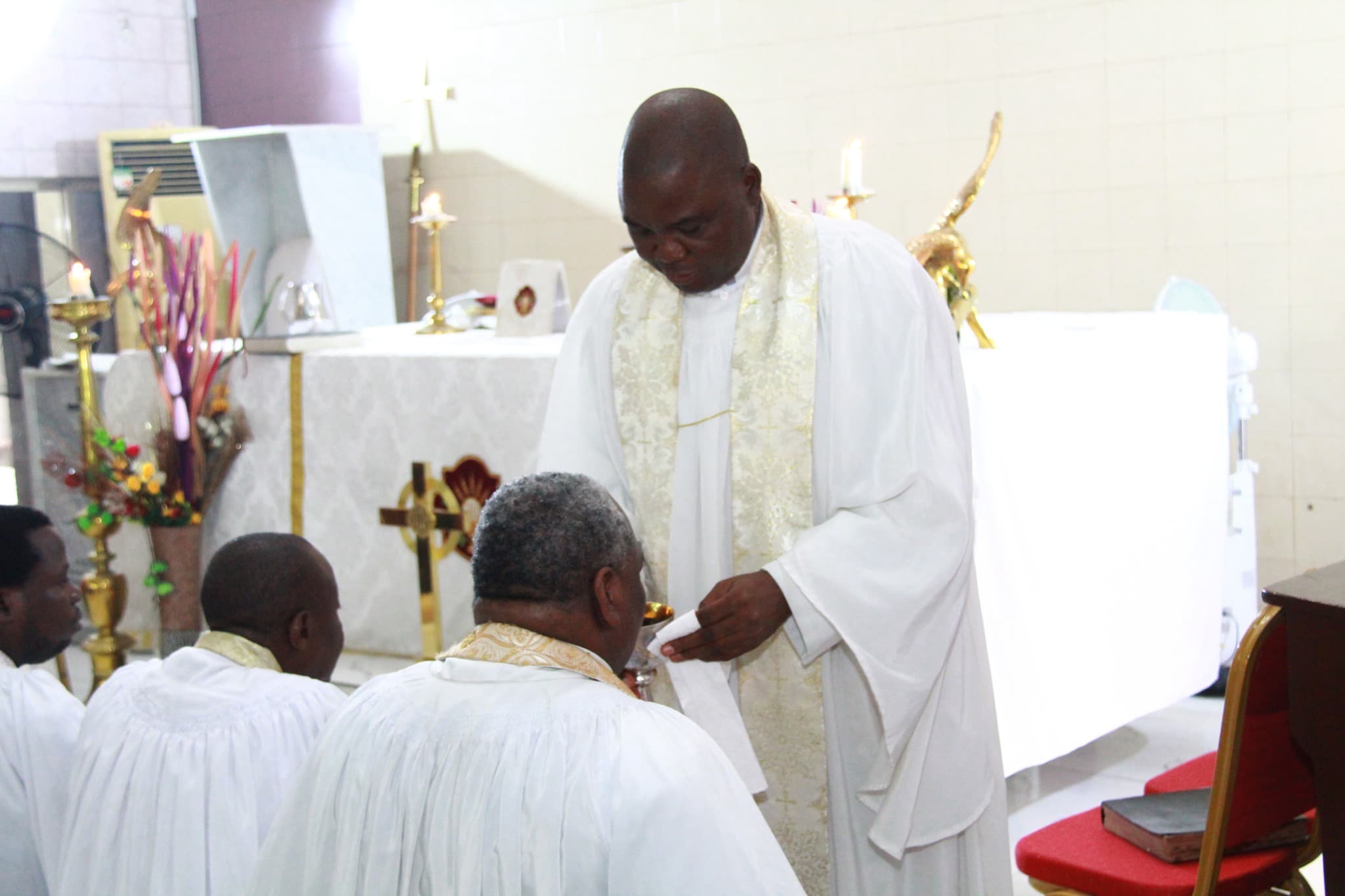 About Us tailwind page